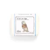 12 Barn Owl Eggs by The Chocolate Detective