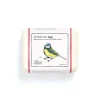12 Blue Tit Eggs by The Chocolate Detective