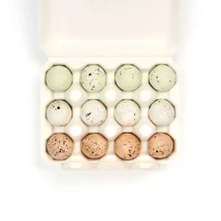 12 Nightingale Eggs by The Chocolate Detective