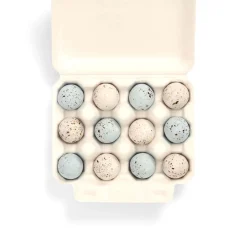 12 Robin Eggs by The Chocolate Detective