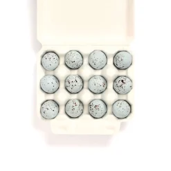 12 Song Thrush Eggs by The Chocolate Detective