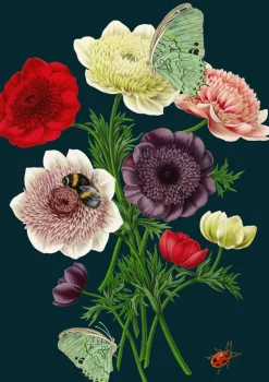Anemones Greetings Card