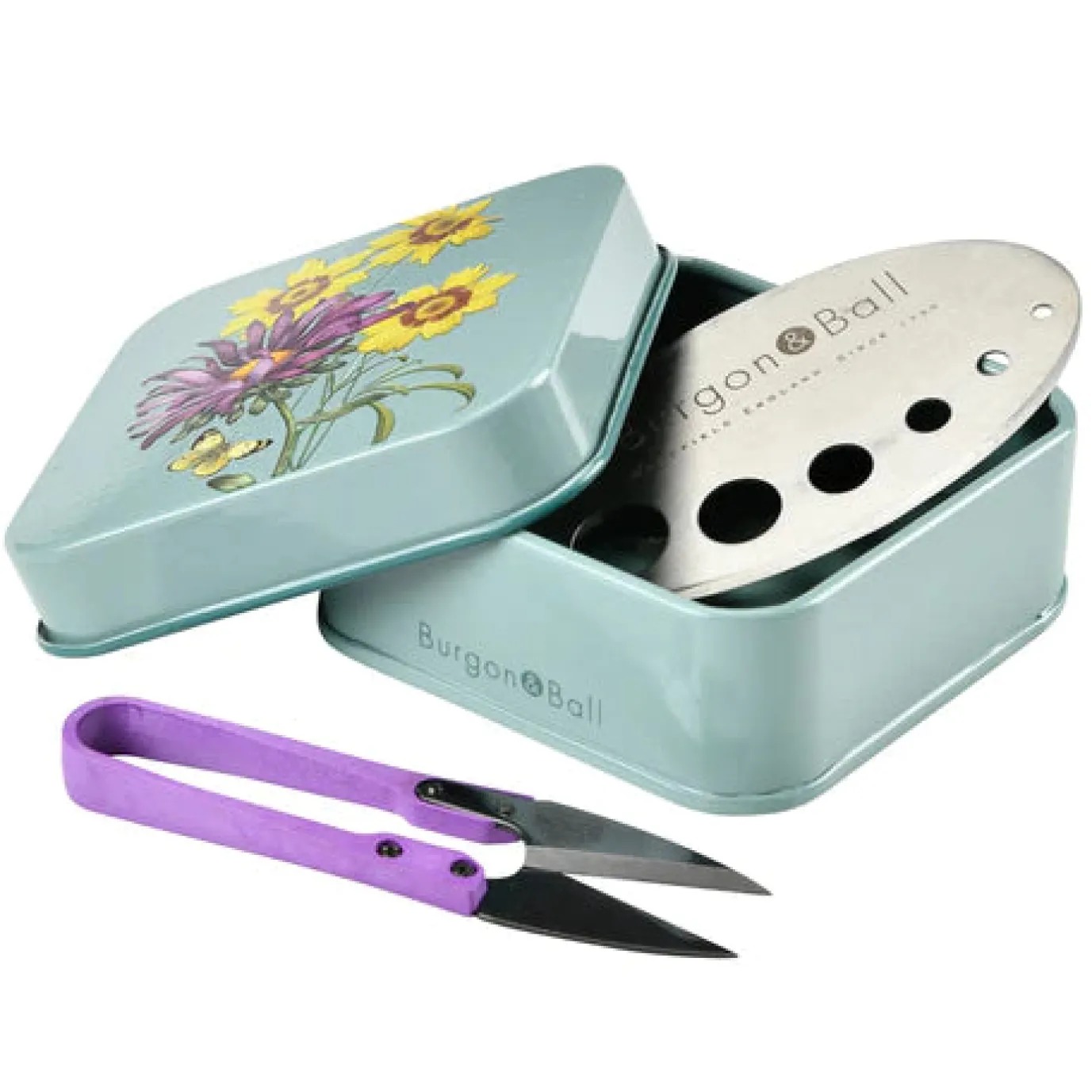 Asteraceae Herb Set
