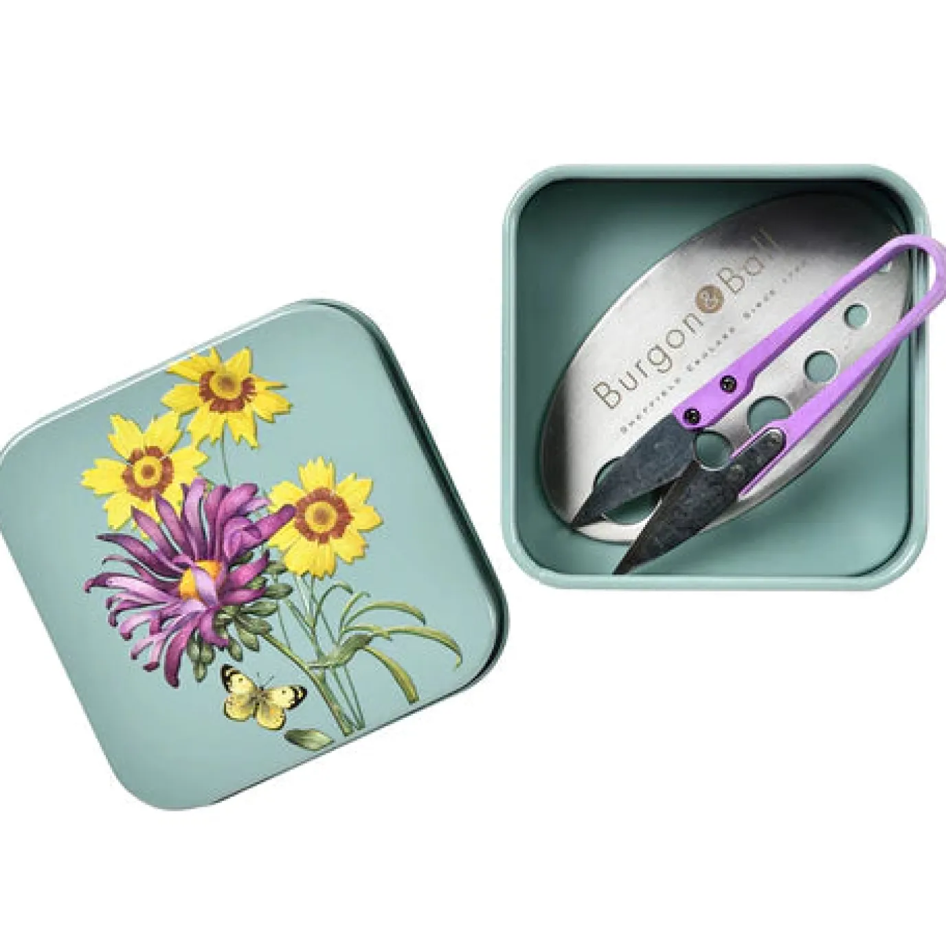 Asteraceae Herb Set