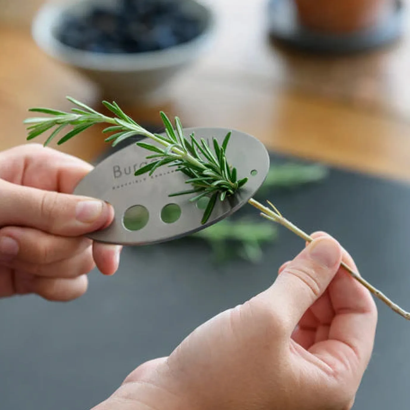 Asteraceae Herb Set