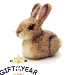 Baby Bunny Needle Felting Kit