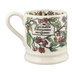 Birds In The Hedgerow Spindle & House Sparrow  1/2 Pint Mug