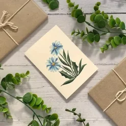 Blue Daisies Greetings Card