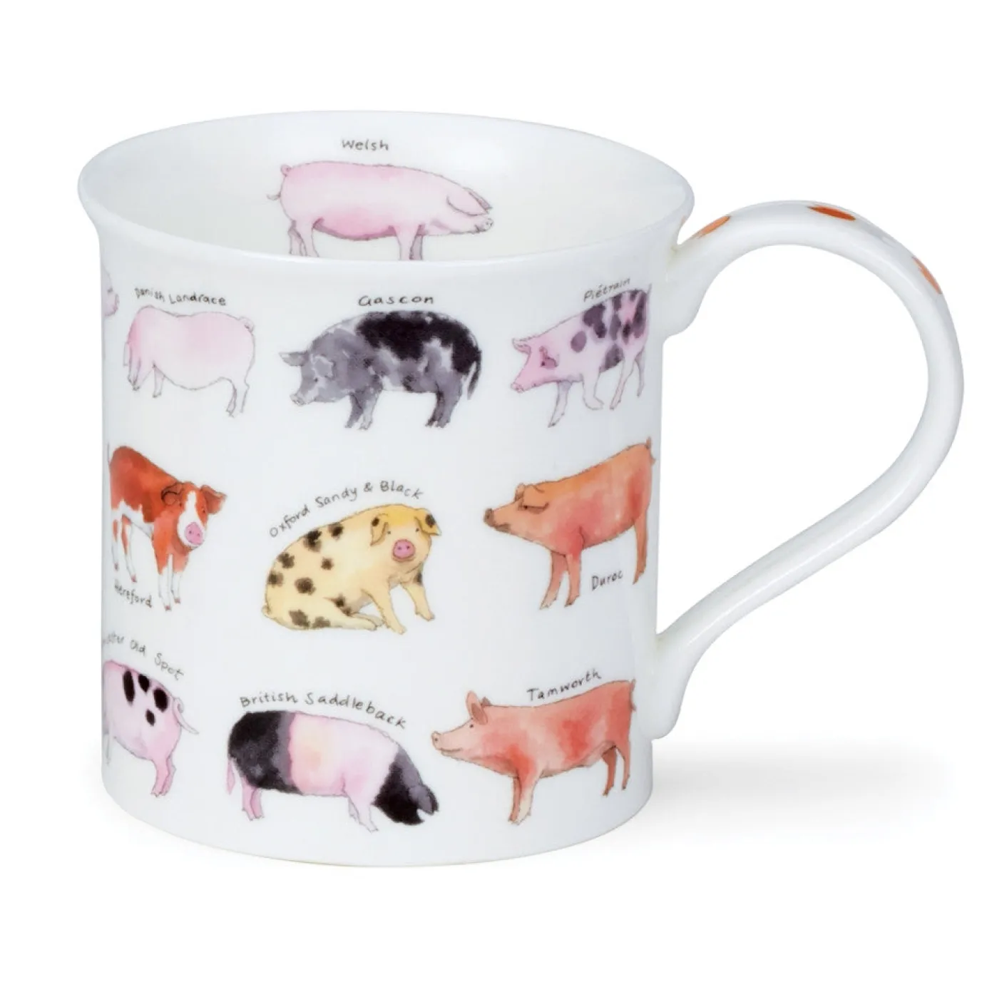 Bute Animal Breeds Mug
