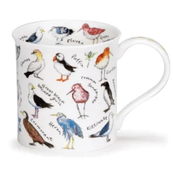 Bute Birdlife Coastal Birds