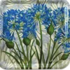 Caroline Cleave Agapanthus Melamine Square Tray