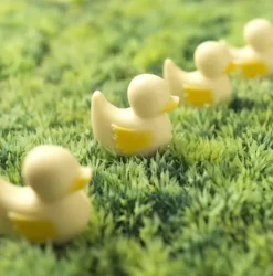 Chocolate Ducks