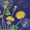 Dandelion Greetings Card