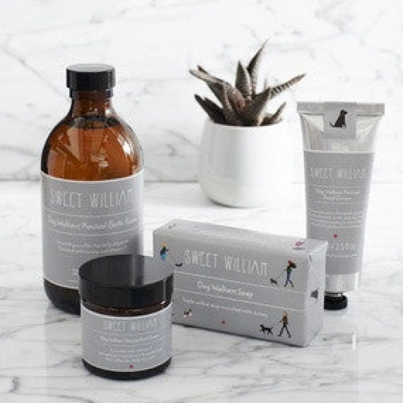 Dog Walkers Revival Kit