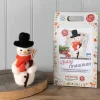 Festive Snowman Needle Felting Kit
