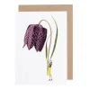 Fritillary Blank Greetings Card