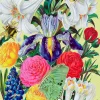 From the Walled Garden Greetings Card