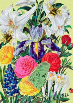 From the Walled Garden Greetings Card