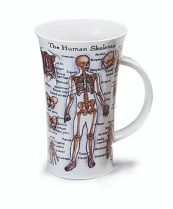 Glencoe The Human Body Mug