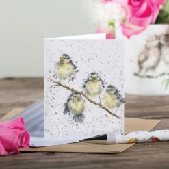 'Hanging Out' Great Tit Enclosure Card