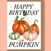 Happy Birthday Pumpkin Greetings Card