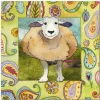 Happy Sheep  Greetings Card
