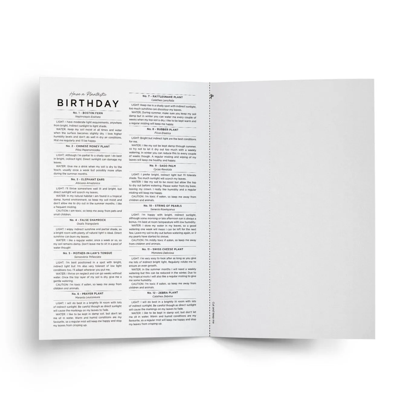 Have a Plantastic Birthday Card