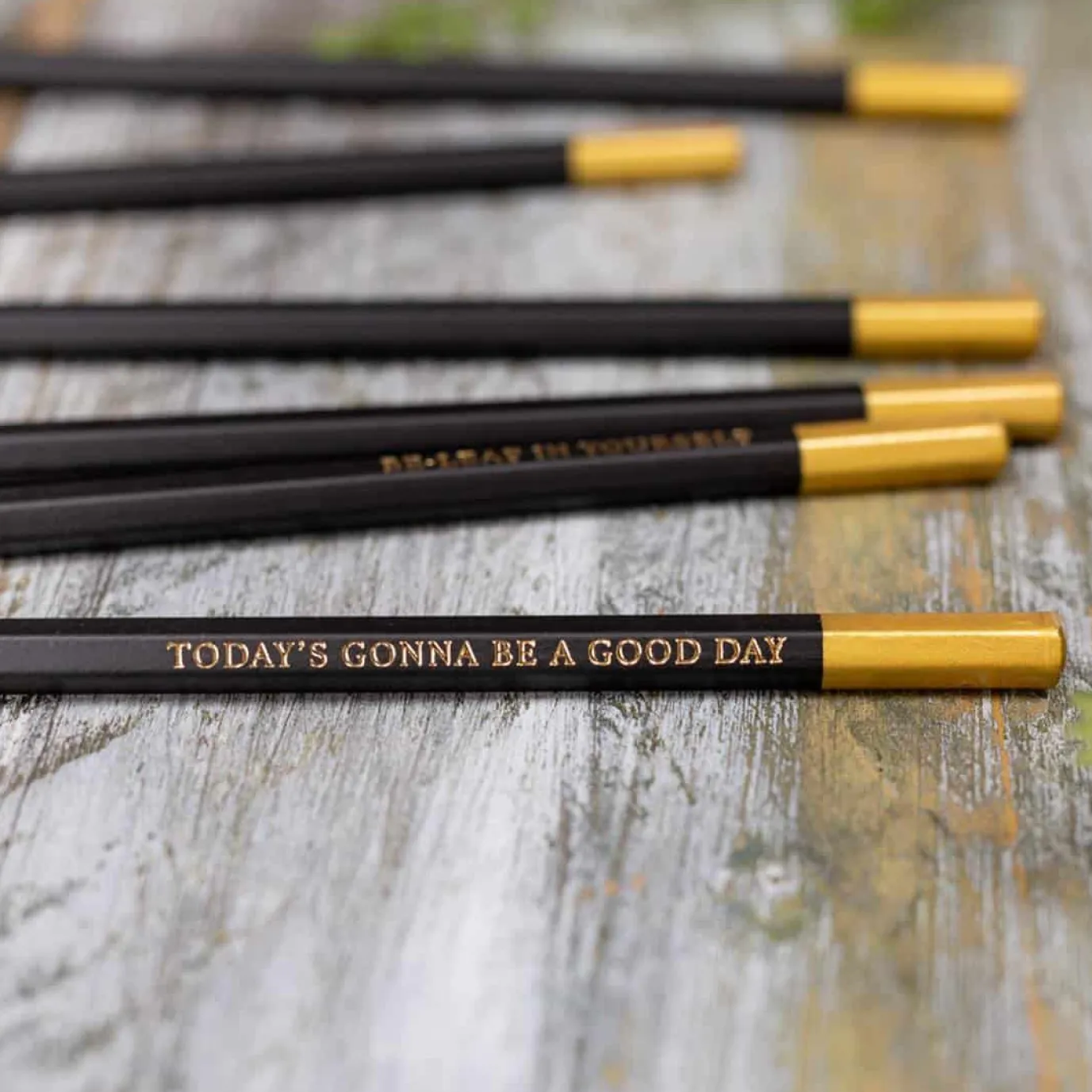In Full Bloom Set of 6 Pencils