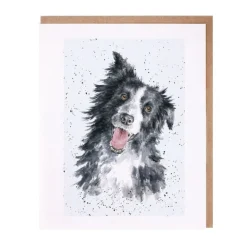 'Jess' Border Collie Greetings Card