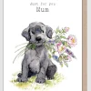 Just For You Mum Greetings Card