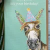 Let's Party Donkey Birthday Eco-card