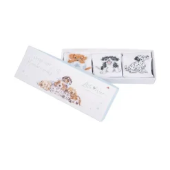 'Little Paws' Dog Baby Socks Set