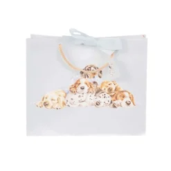 'Little Paws' Dog Gift Bag