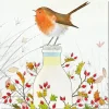 Milk Bottle Robin pack of 6 Christmas Cards