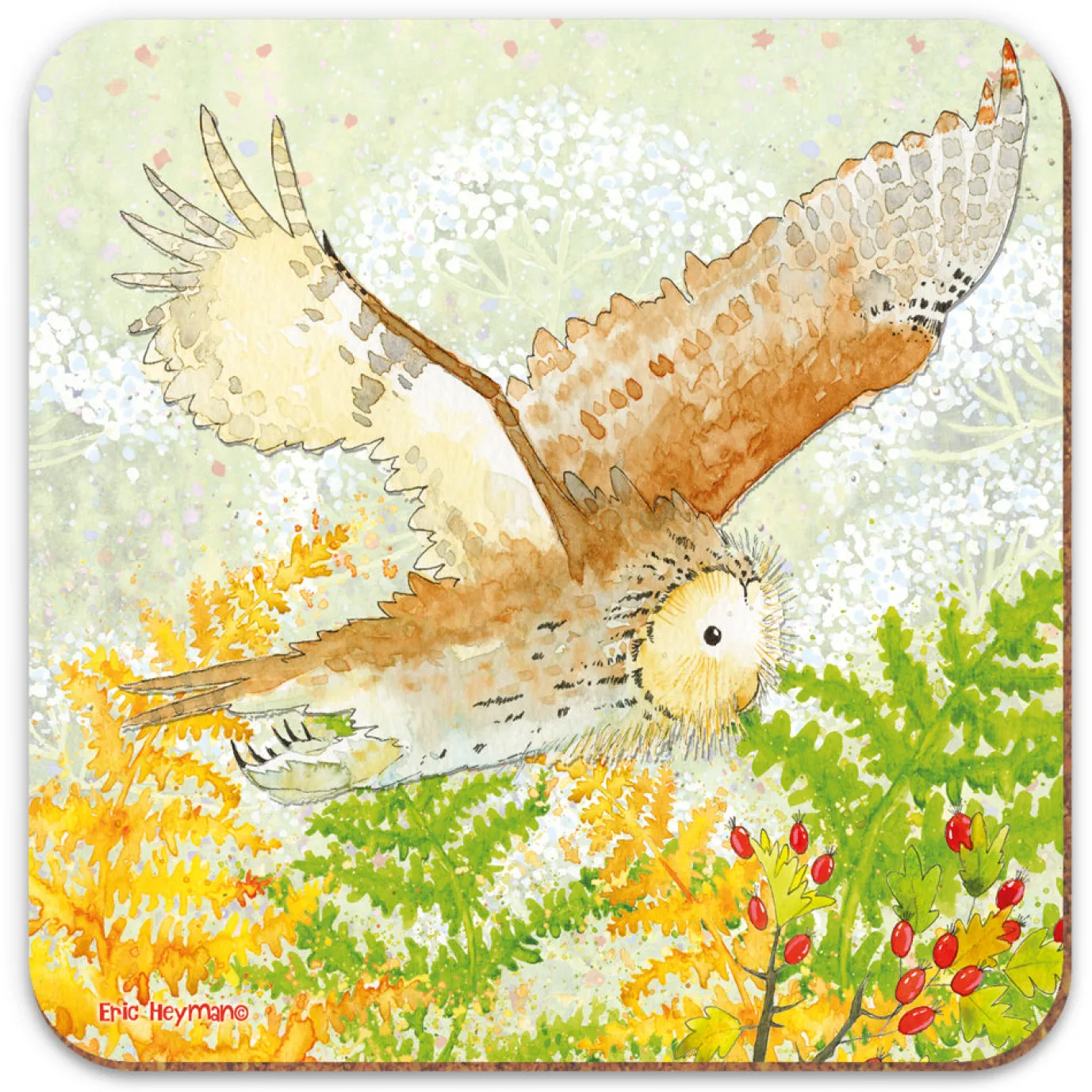 Owl Coaster