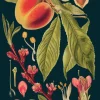 Peach Greetings Card