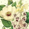 Peony & Foxglove Glitter Birthday Card