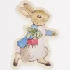 Peter Rabbit Reusable Plate