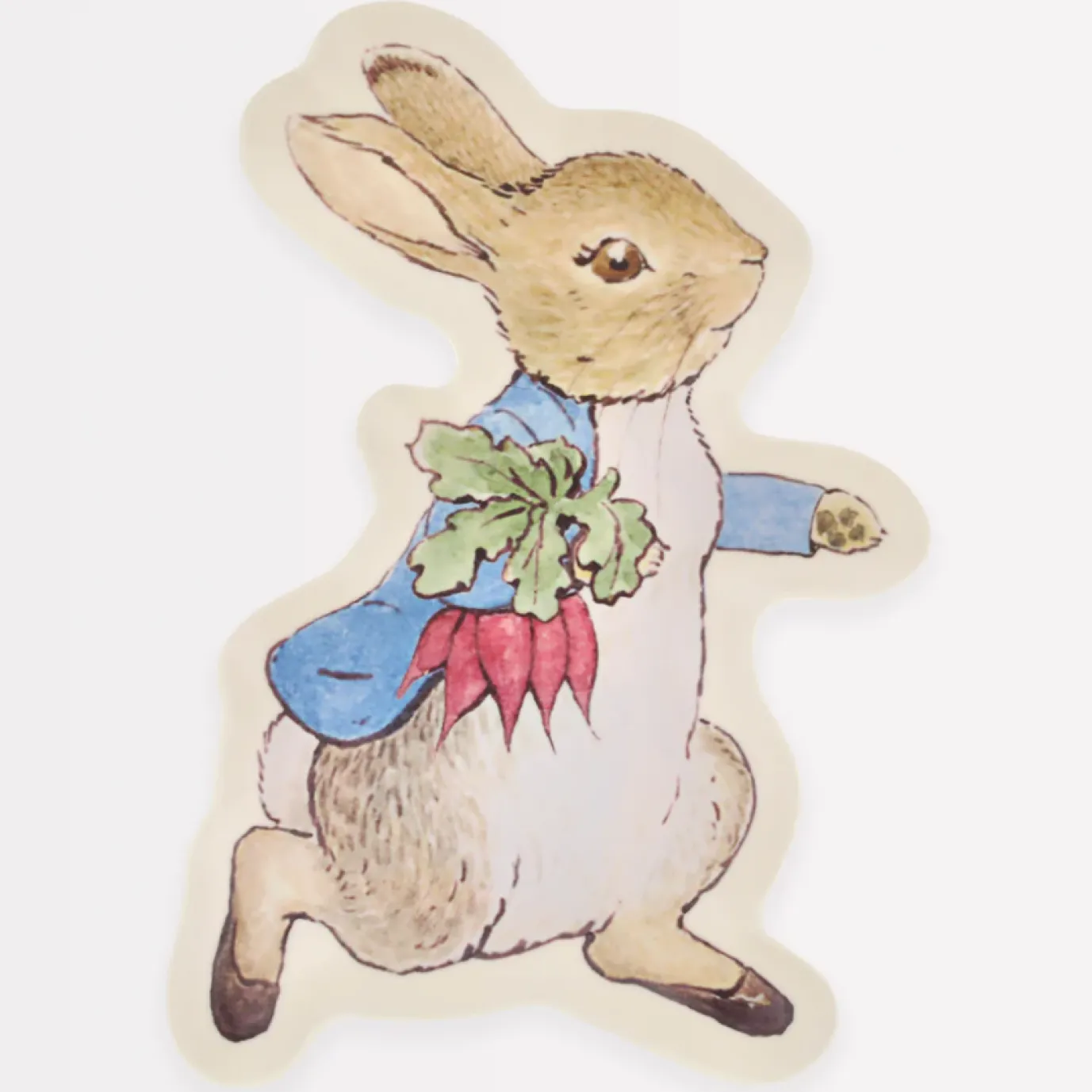 Peter Rabbit Reusable Plate