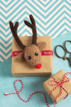 Rudolph Brooch Felting Kit