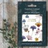 Thanks So Much Regency Gardens Boxed Set of 6 Notecards