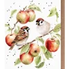 'The Apple Tree' Sparrow Greetings Card