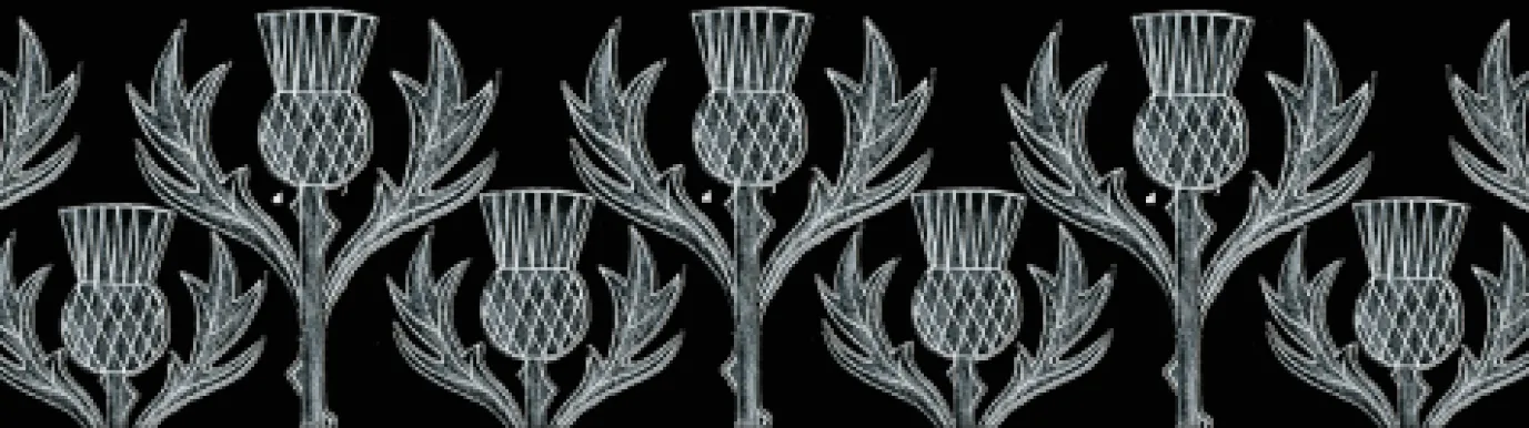 Thistle Mug by Moorland Pottery