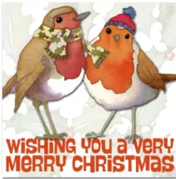 Two Robins Pack of 6 Christmas Cards