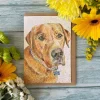 Wellie the Labrador Blank Greetings Eco Card