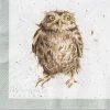 'What a Hoot' Owl Paper Napkins
