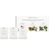 Winter Collection Votive Trio Gift Set